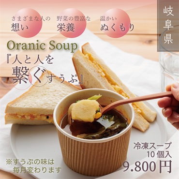 スーパーオーガニックスープ（人と人をつなげるすうぷ）冷凍スープ10個入り