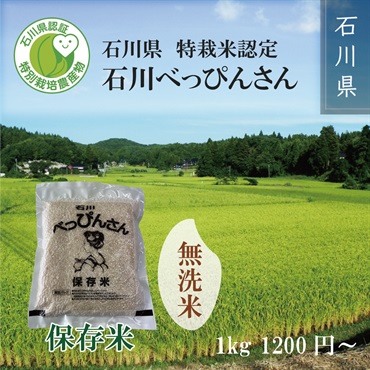 【令和5年度新米】特栽米認定 石川べっぴんさん　保存米 1kg～(無洗米)