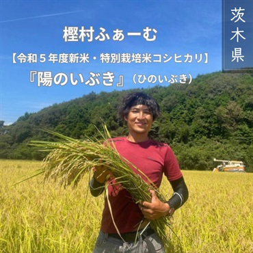 樫村ファームの特別栽培米コシヒカリ【陽のいぶき】