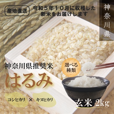 葱三郎米　神奈川県推奨米『はるみ』2kg(玄米)