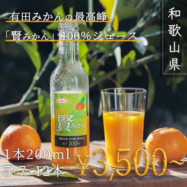 賢みかん（かしこみかん）果汁100％ジュース　200ml12本セット　