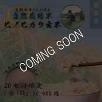【20セット限定】自然栽培米　ヒノヒカリ玄米10㎏