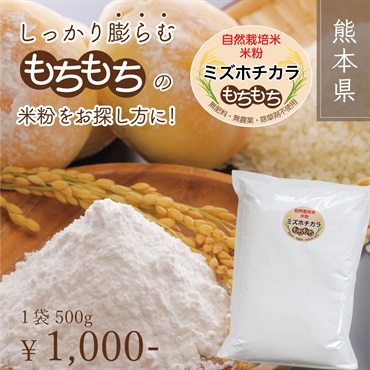 【20袋限定】もっちもち！農薬/肥料不使用 自然栽培米「ミズホチカラ」を使った、パン用米粉