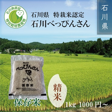 【令和5年度新米】特栽米認定 石川べっぴんさん　保存米 1kg～(精米)