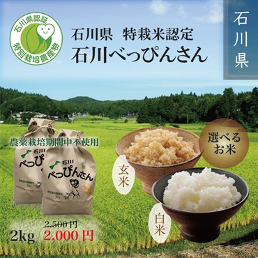 【令和5年度新米】特栽米認定 石川べっぴんさん（白米または玄米） 2kg