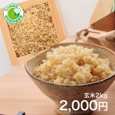 【令和5年度新米】特栽米認定 石川べっぴんさん（白米または玄米） 2kg(玄米)