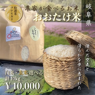【令和5年度新米】おおたけ米（白米or玄米）計10kg　