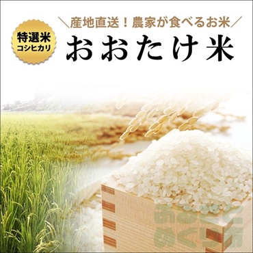 おおたけ米（白米or玄米） 5kg×2袋　計10kg(白米/玄米 各5kg)