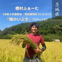 樫村ファームの特別栽培米コシヒカリ【陽のいぶき】