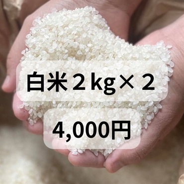 樫村ファームの特別栽培米コシヒカリ【陽のいぶき】(白米2k＆白米2k)