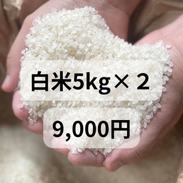 樫村ファームの特別栽培米コシヒカリ【陽のいぶき】(白米5k＆白米5k)