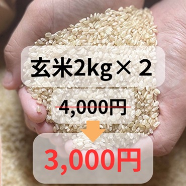 令和4年度大特価樫村ファームの特別栽培米コシヒカリ【陽のいぶき】(玄米2k＆玄米2k)