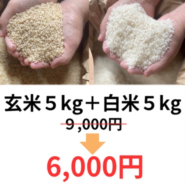 令和4年度大特価樫村ファームの特別栽培米コシヒカリ【陽のいぶき】(玄米5k＆白米5k)