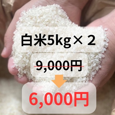 令和4年度大特価樫村ファームの特別栽培米コシヒカリ【陽のいぶき】(白米5k＆白米5k)