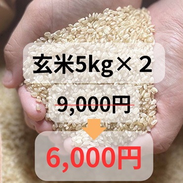 令和4年度大特価樫村ファームの特別栽培米コシヒカリ【陽のいぶき】(玄米5k＆玄米5k)
