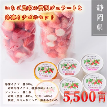 こだわりイチゴ農家の贅沢ジェラート6種類・冷凍イチゴセット500g×2種